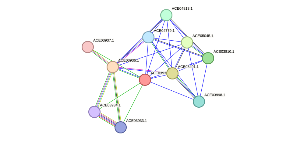 STRING protein interaction network