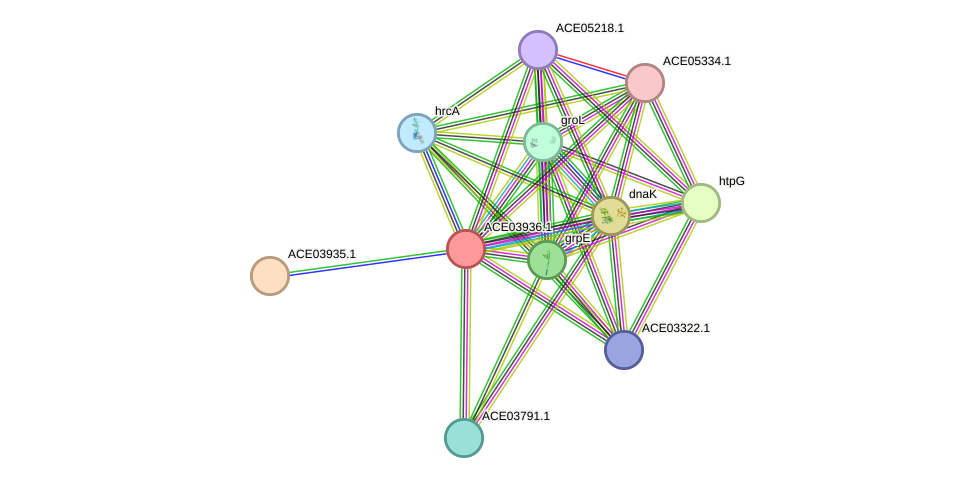 STRING protein interaction network