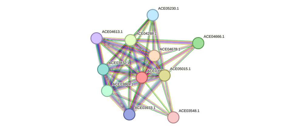 STRING protein interaction network