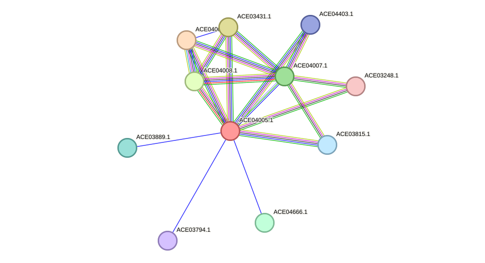 STRING protein interaction network