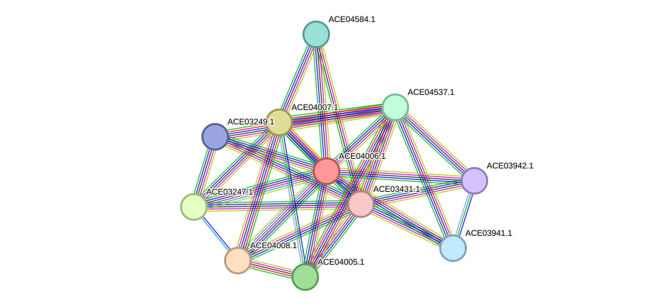 STRING protein interaction network