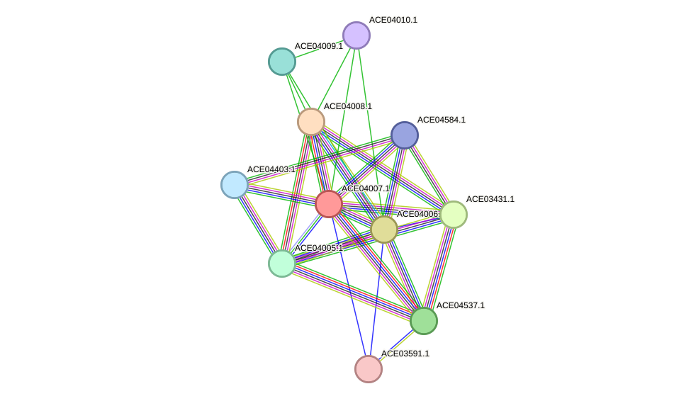 STRING protein interaction network