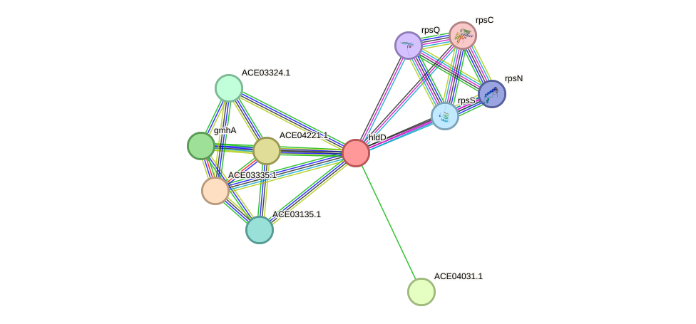 STRING protein interaction network