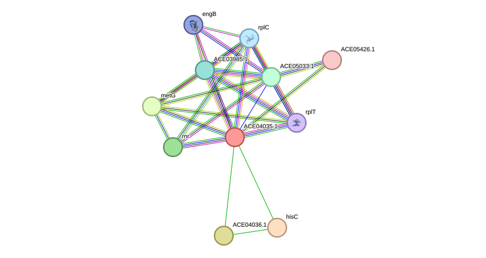 STRING protein interaction network