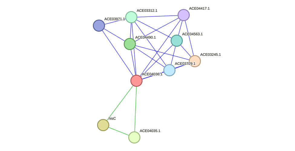 STRING protein interaction network