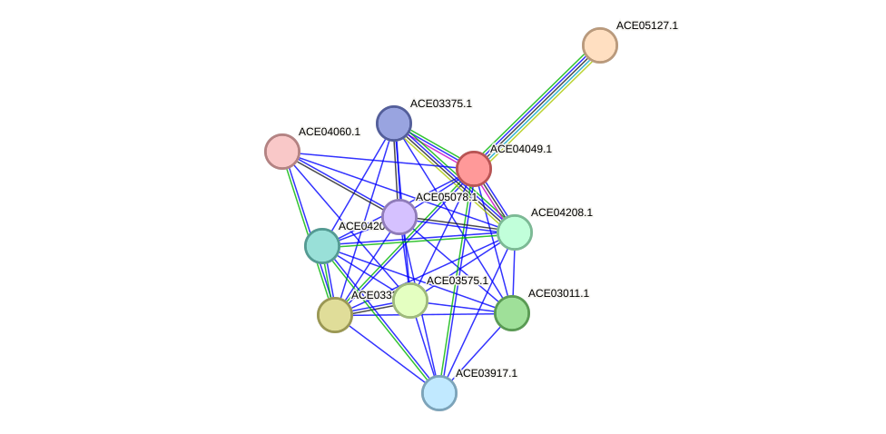 STRING protein interaction network