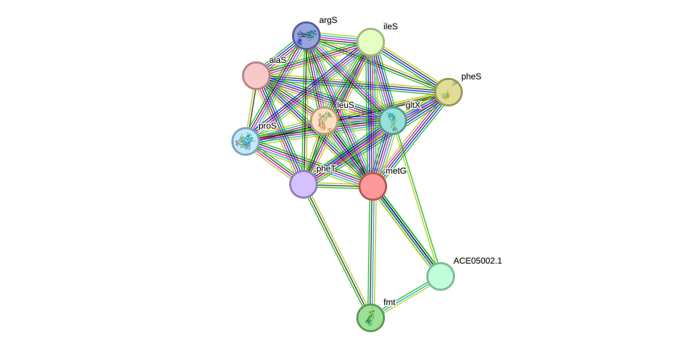STRING protein interaction network