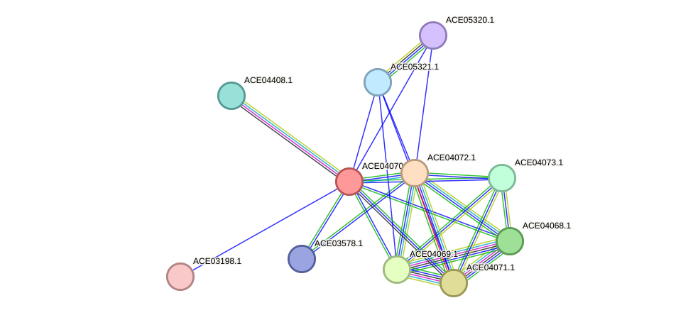 STRING protein interaction network
