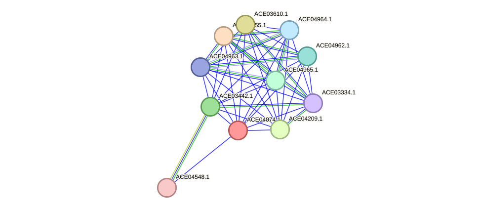 STRING protein interaction network