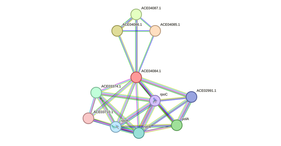 STRING protein interaction network