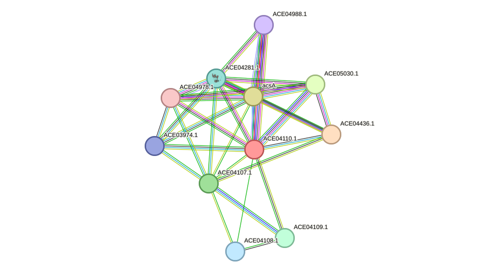 STRING protein interaction network