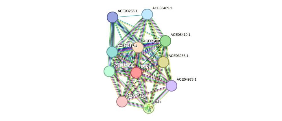 STRING protein interaction network