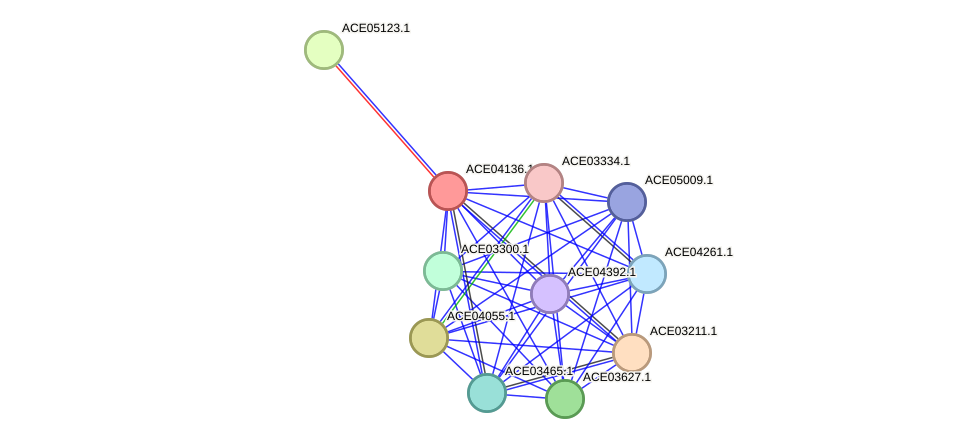 STRING protein interaction network
