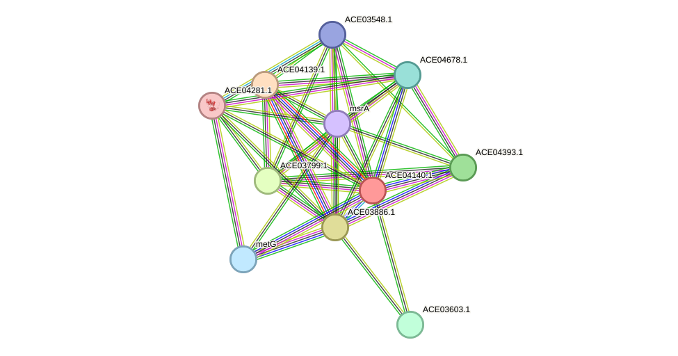 STRING protein interaction network