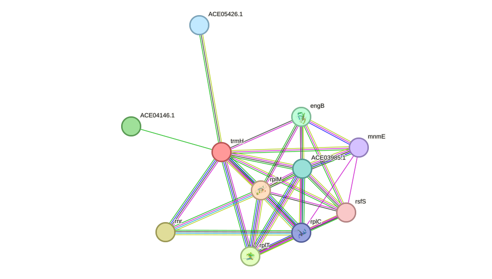 STRING protein interaction network