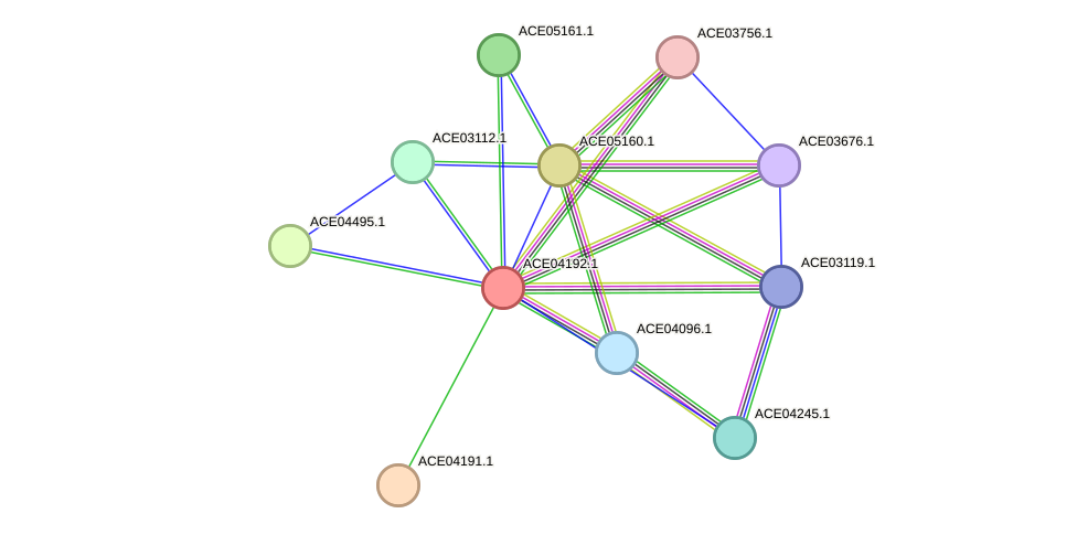 STRING protein interaction network