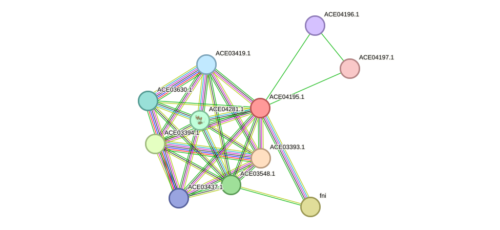 STRING protein interaction network