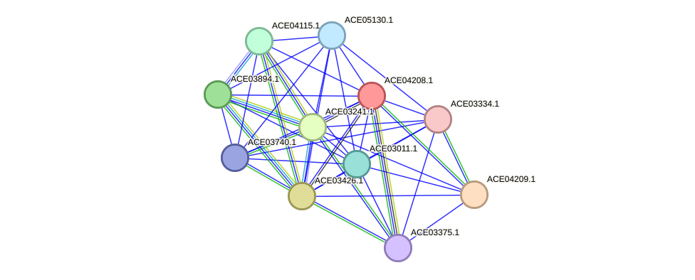 STRING protein interaction network