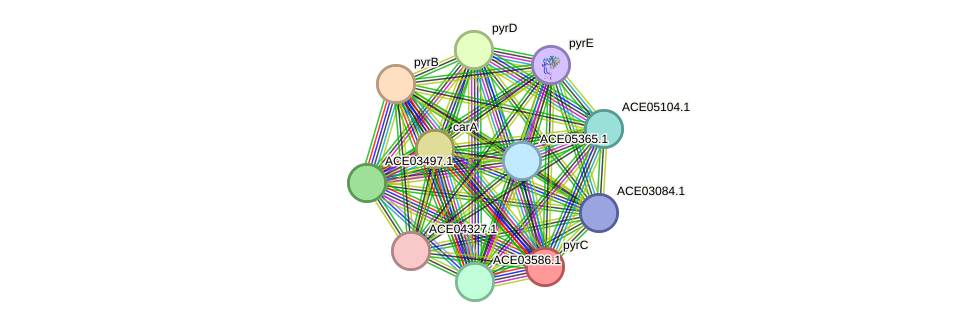 STRING protein interaction network