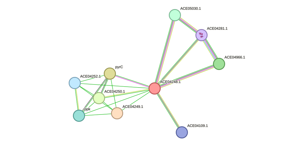 STRING protein interaction network
