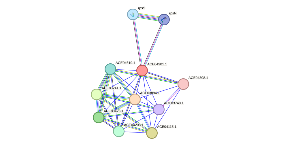 STRING protein interaction network