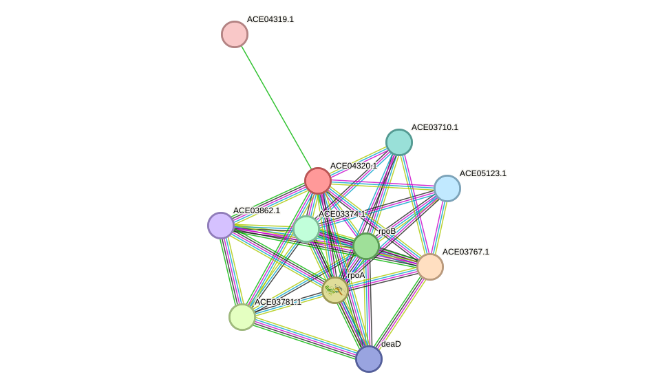 STRING protein interaction network