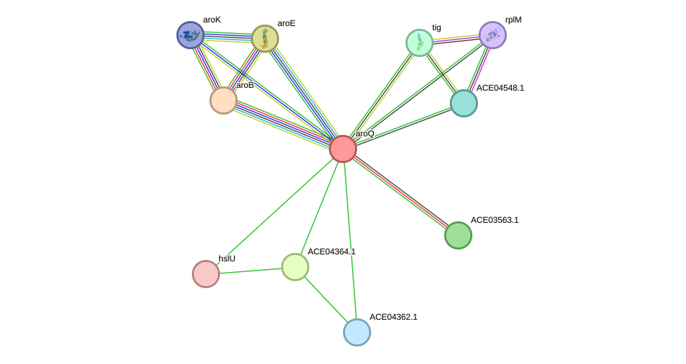 STRING protein interaction network