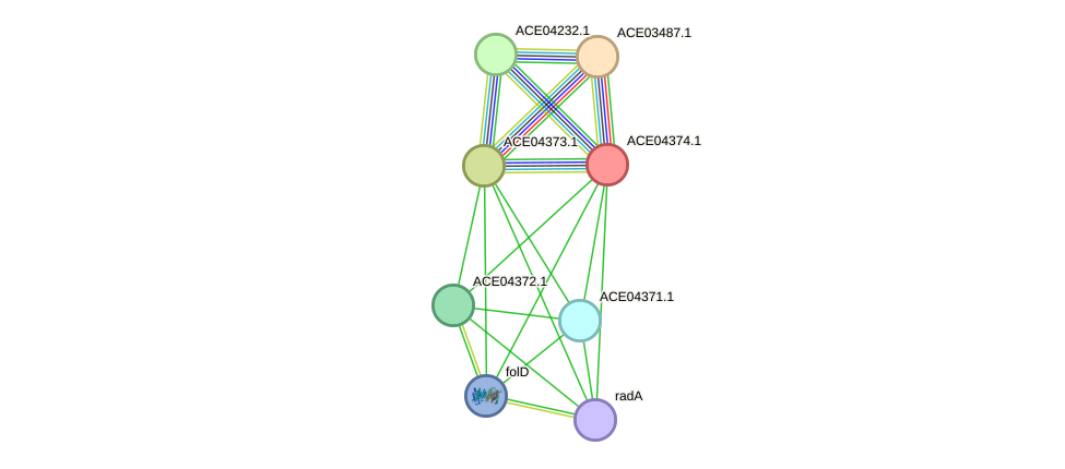 STRING protein interaction network