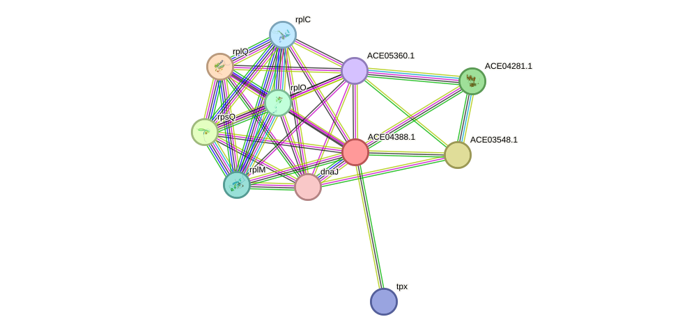 STRING protein interaction network