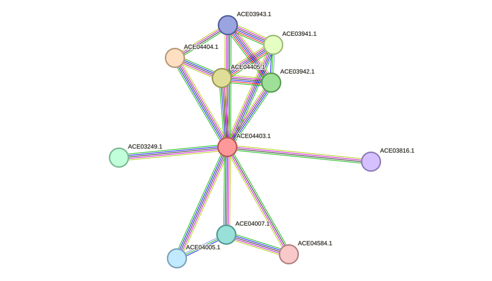 STRING protein interaction network