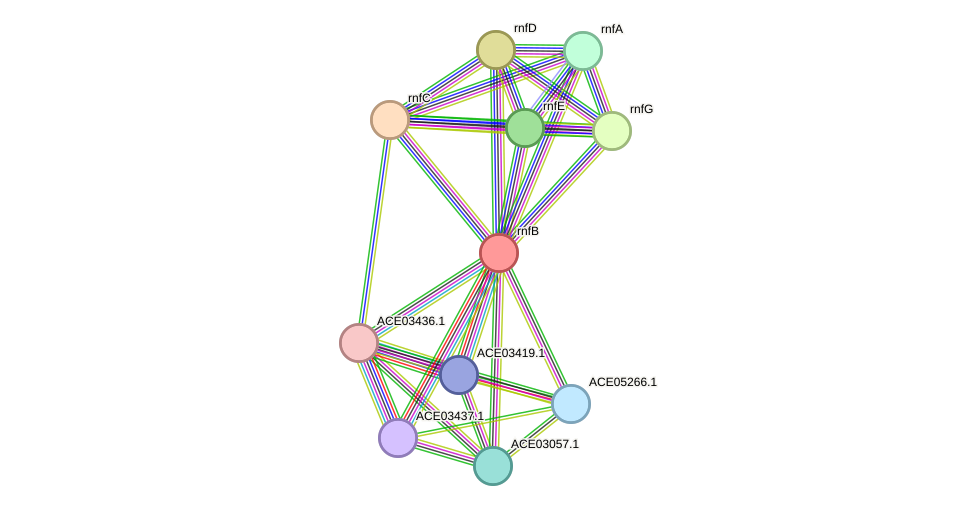 STRING protein interaction network