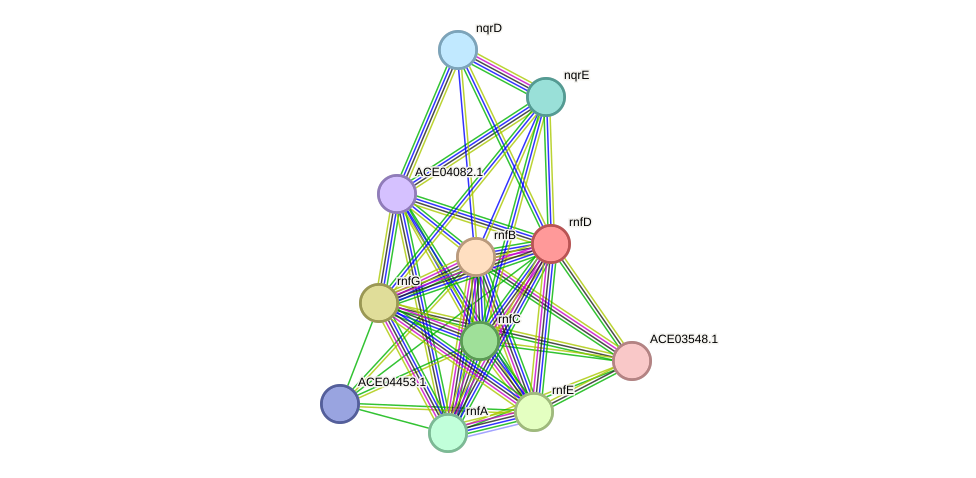 STRING protein interaction network