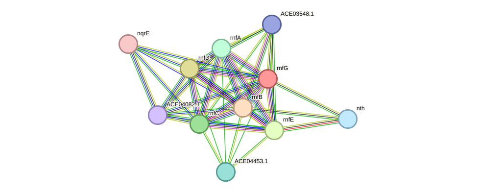 STRING protein interaction network