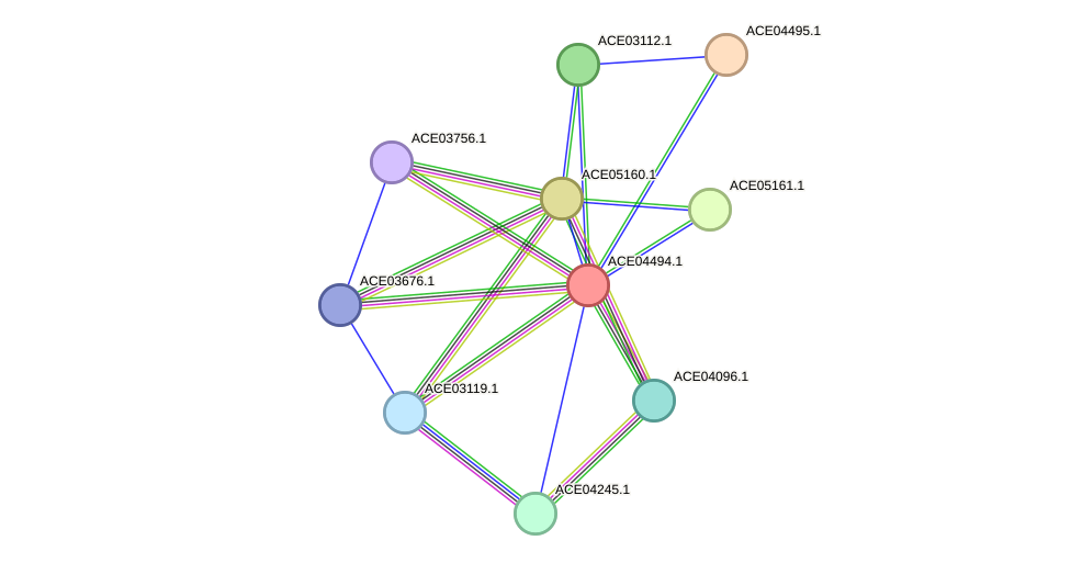STRING protein interaction network