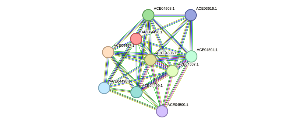 STRING protein interaction network