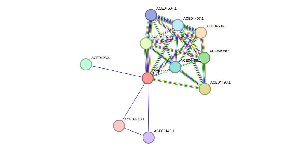 STRING protein interaction network