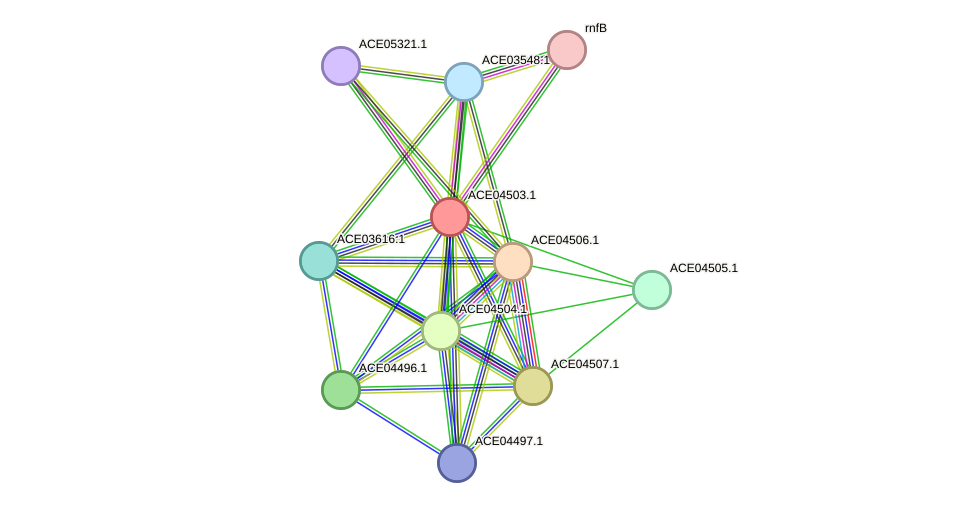 STRING protein interaction network