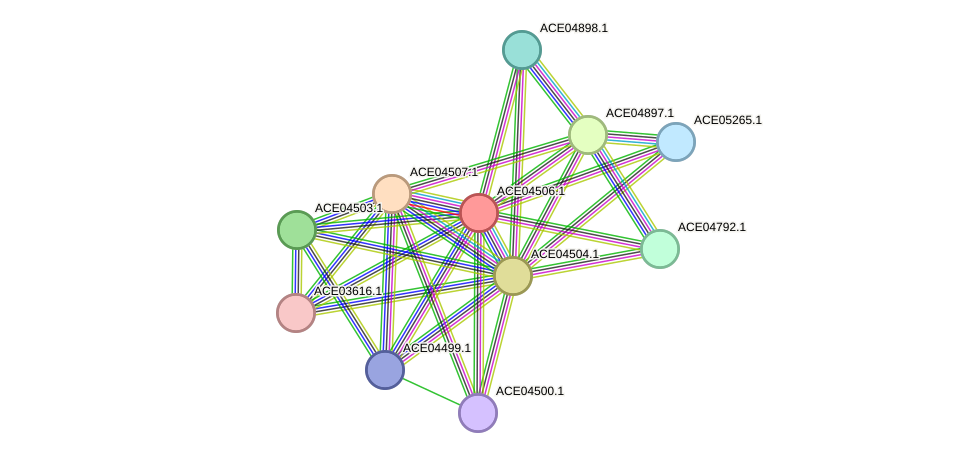 STRING protein interaction network