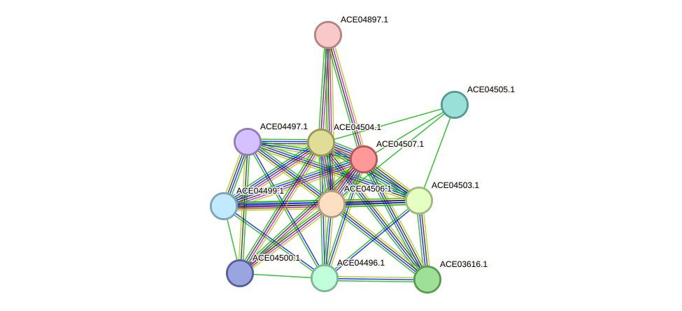 STRING protein interaction network