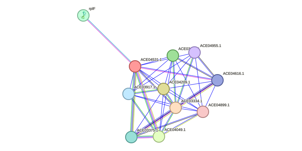 STRING protein interaction network
