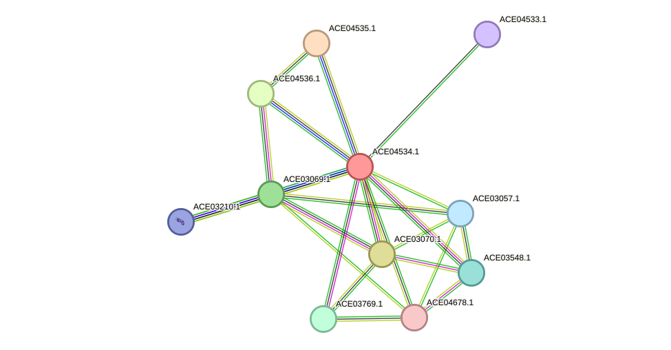 STRING protein interaction network