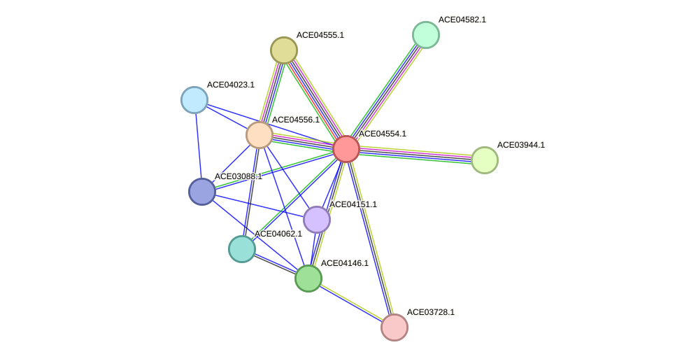 STRING protein interaction network