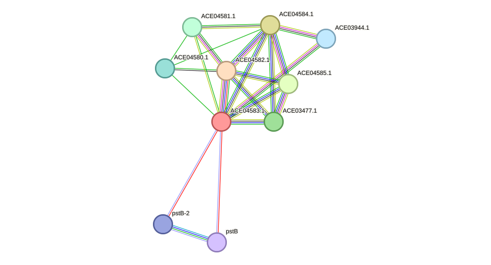 STRING protein interaction network