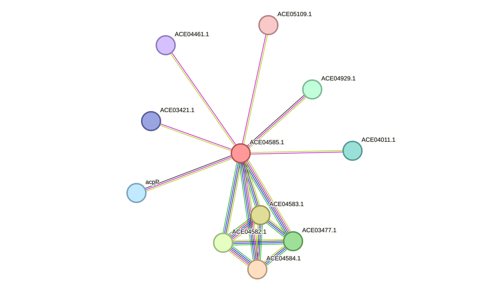 STRING protein interaction network