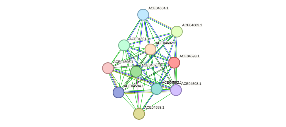 STRING protein interaction network