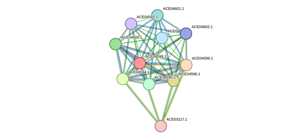 STRING protein interaction network