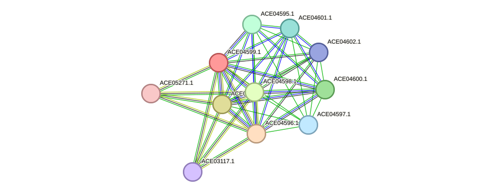 STRING protein interaction network