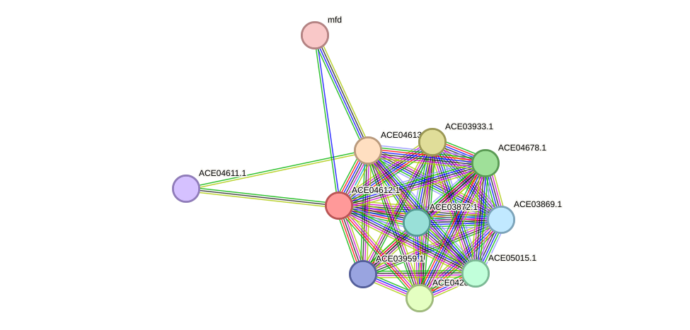 STRING protein interaction network