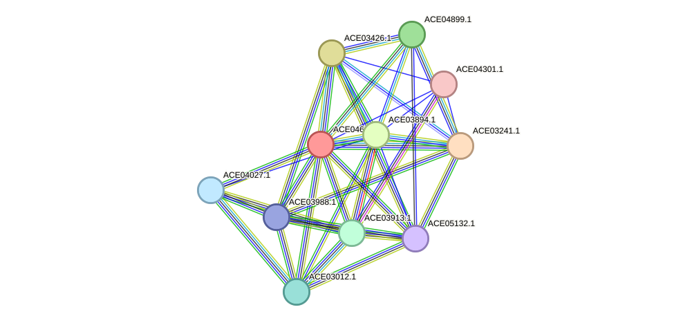 STRING protein interaction network