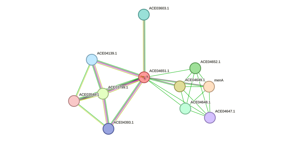 STRING protein interaction network